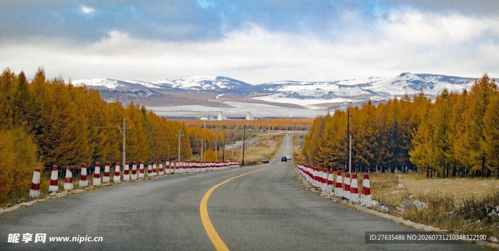 秋日公路金黄树林与远山