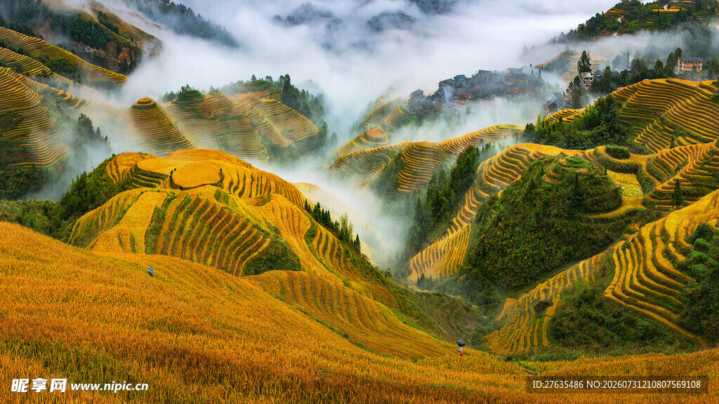 秋日山间壮丽多彩景观