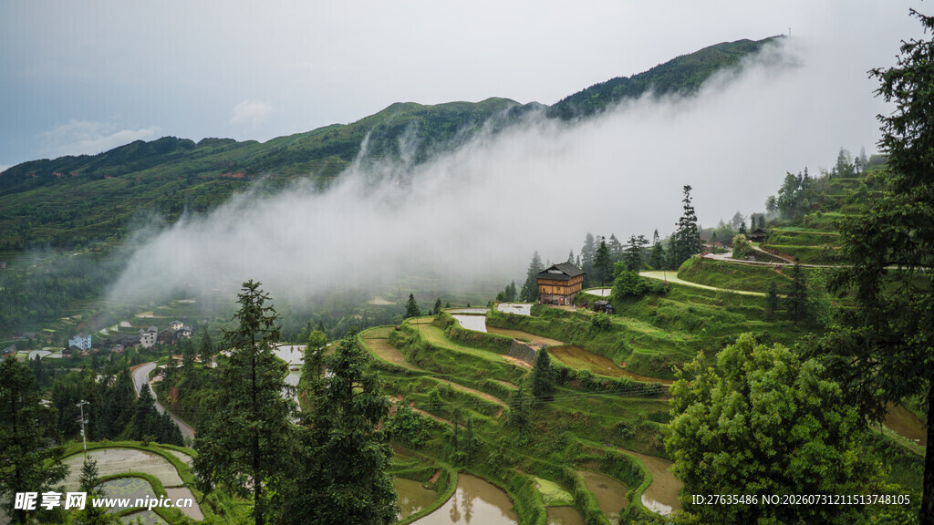 云雾缭绕的山间梯田美景