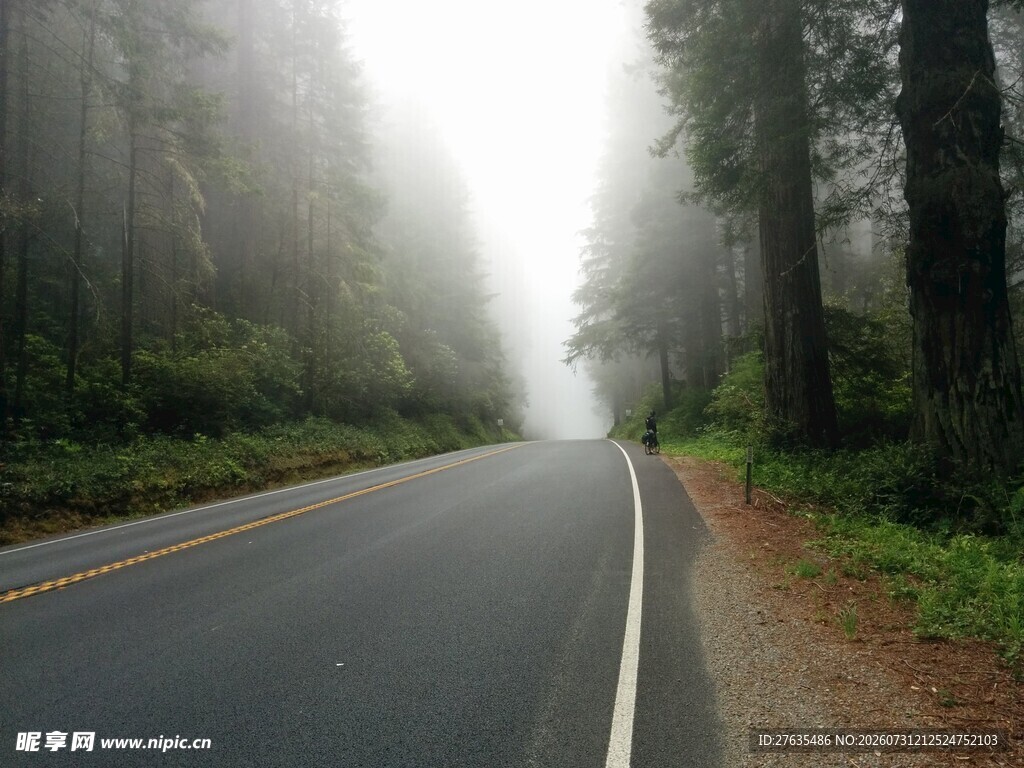 雾中林间公路静谧之景