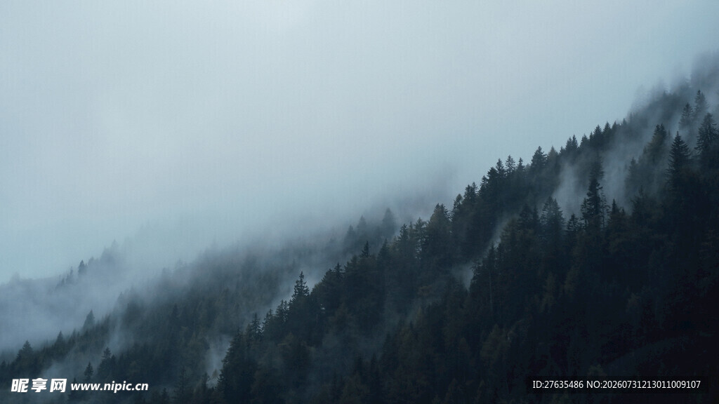 云雾缭绕的山林美景