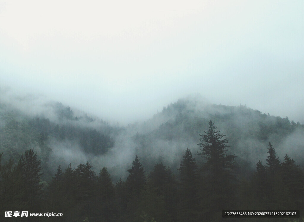云雾缭绕的山林美景