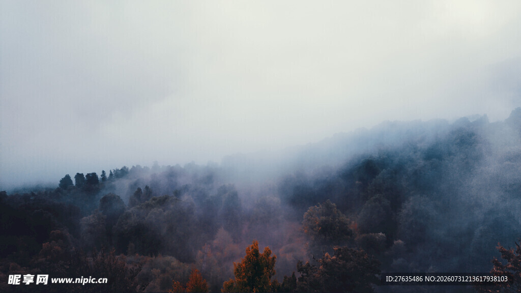 山间云雾缭绕的迷人景致