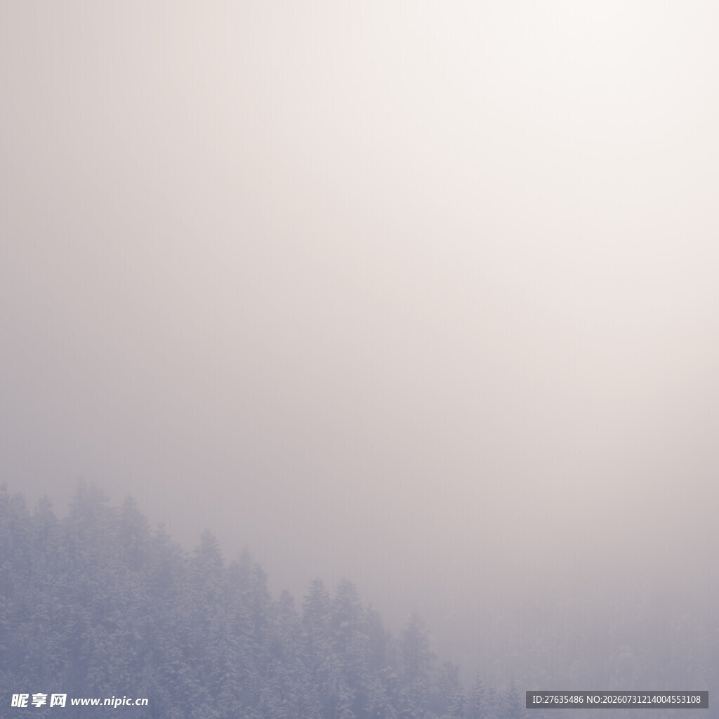 雾中朦胧山林景