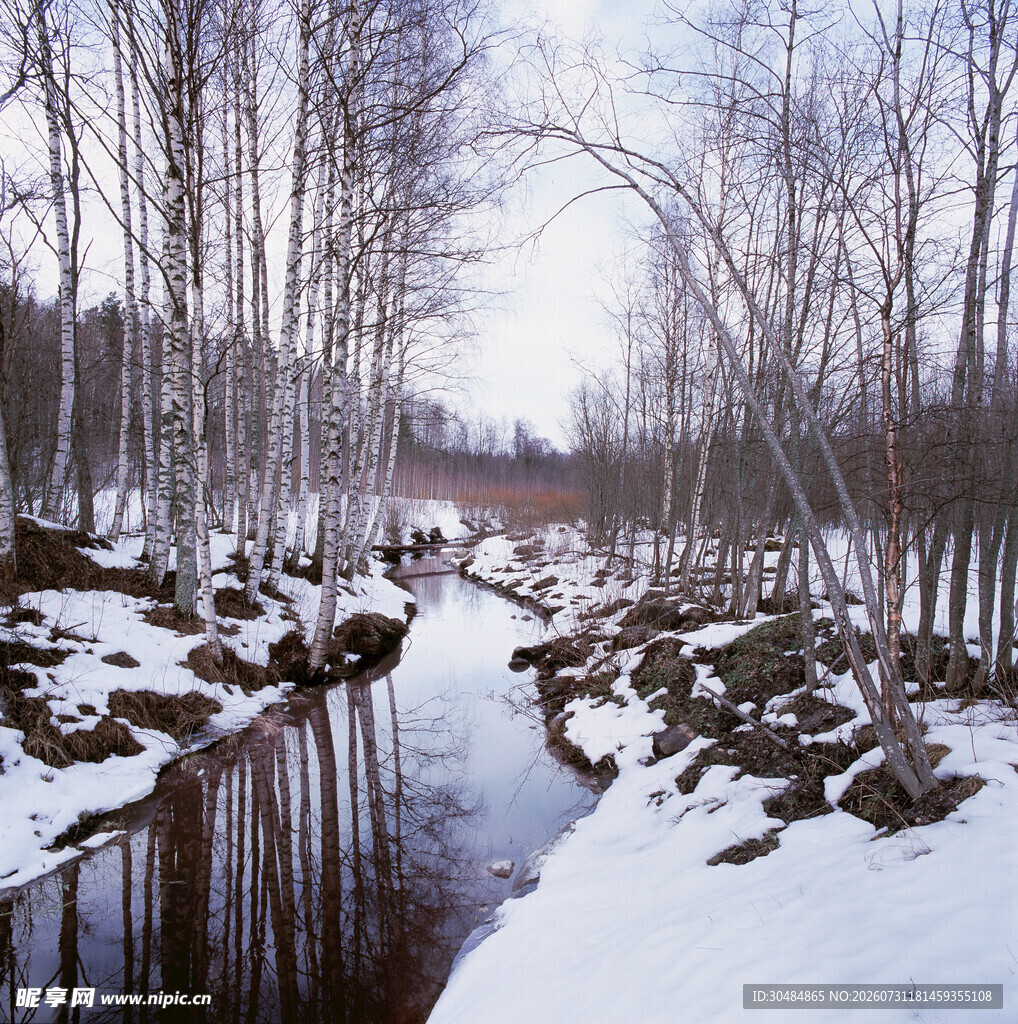 冬日雪覆林间小河风景