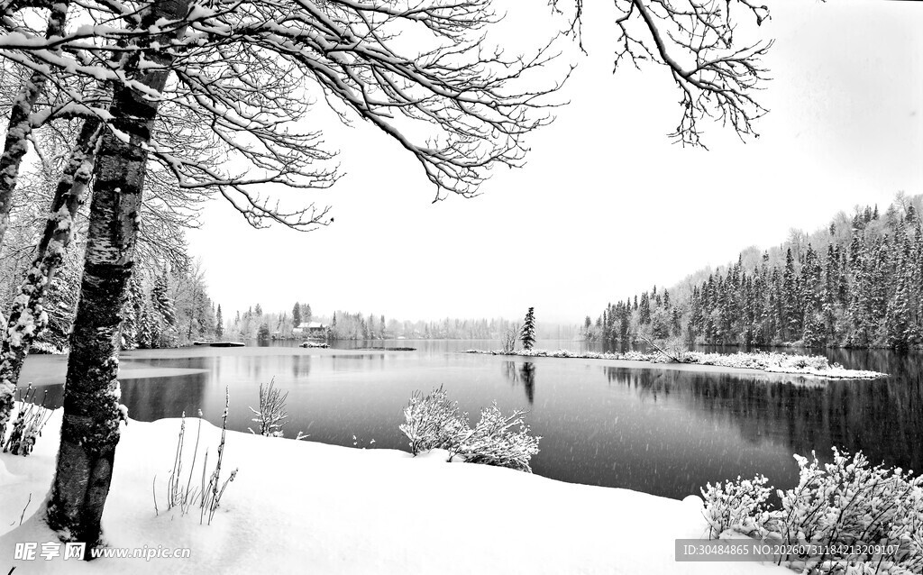 冬日湖畔雪景