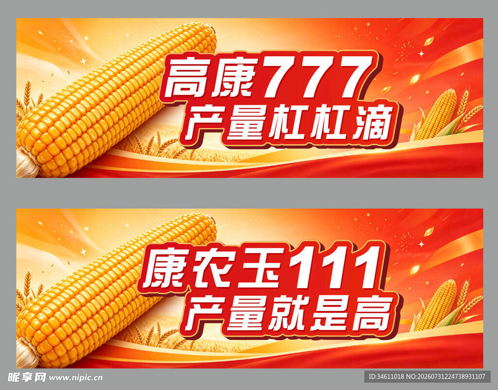 红金丰收风 高产玉米品种宣传横