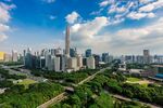 城市天际线与繁茂绿植景观