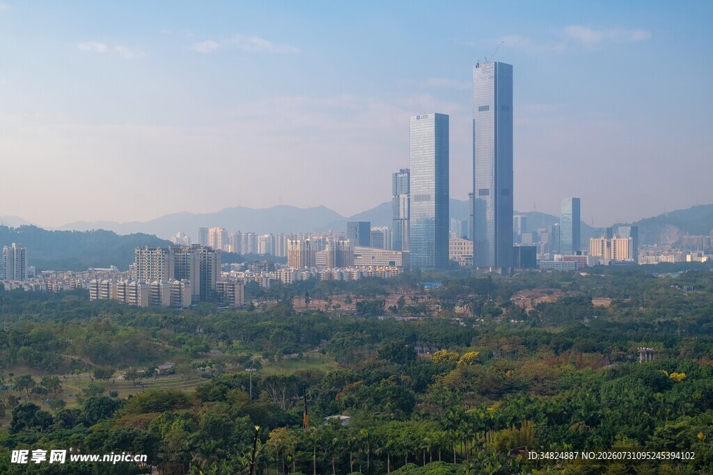 城市与森林景观
