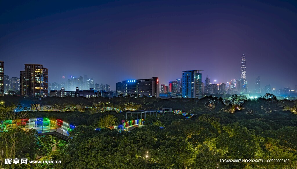 城市夜景与绿植相映成趣