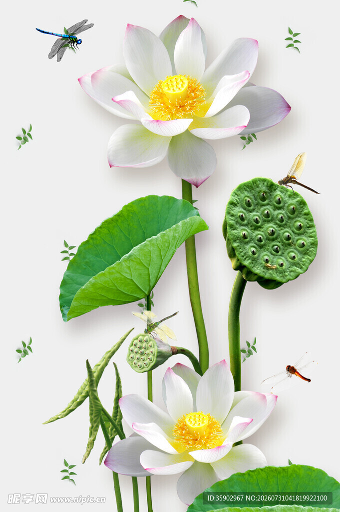 水墨荷花蜻蜓清新插画