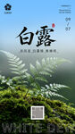 白露时节