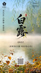 白露时节