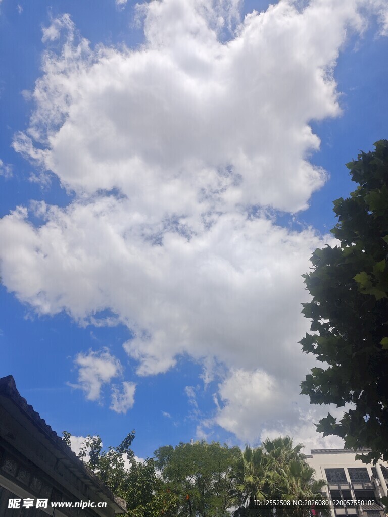 蓝天白云下的绿树建筑