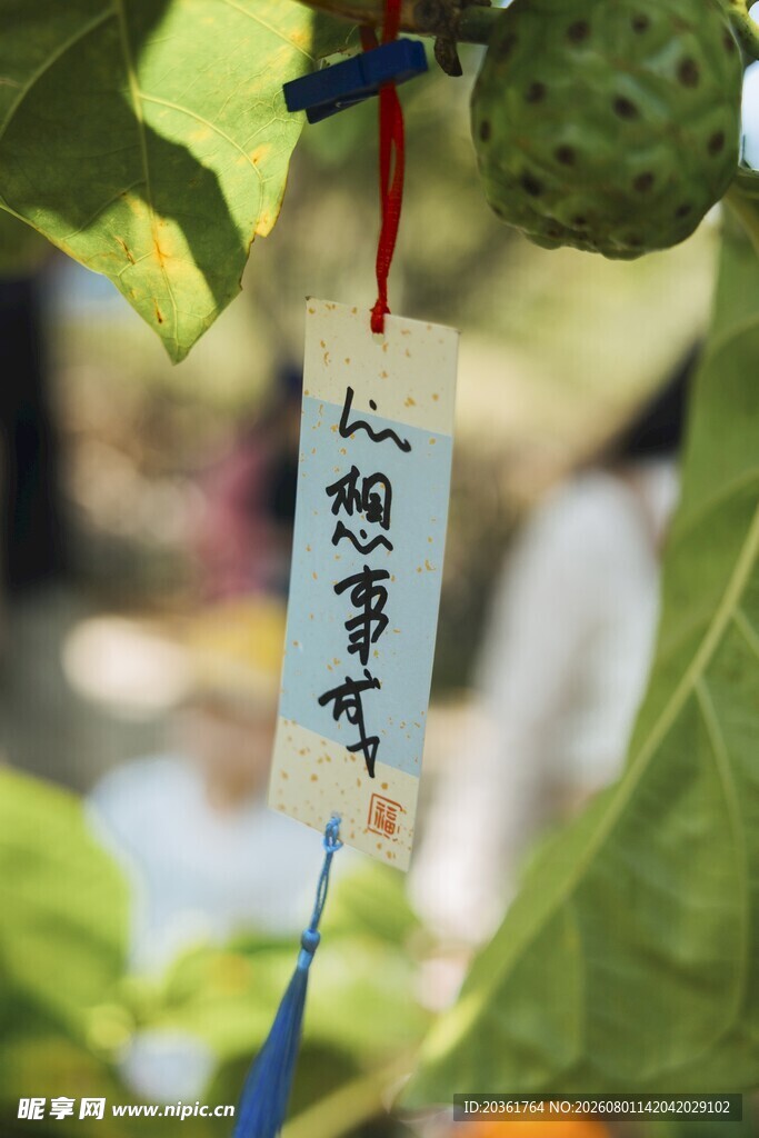祈福牌挂于绿植间