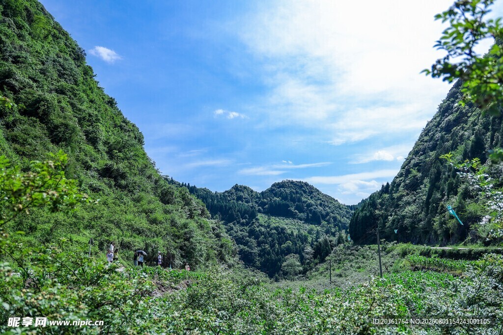 青山幽谷间的自然美景