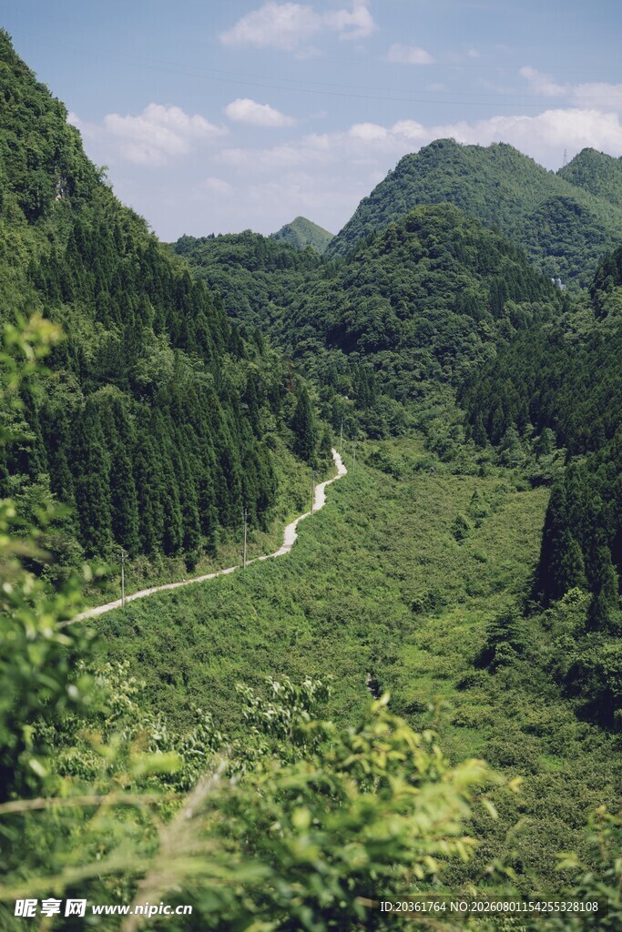 山间绿野中的蜿蜒小路