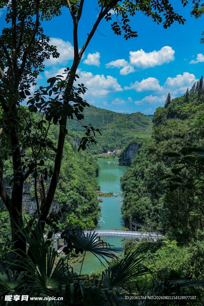 山林间的清澈河流景观