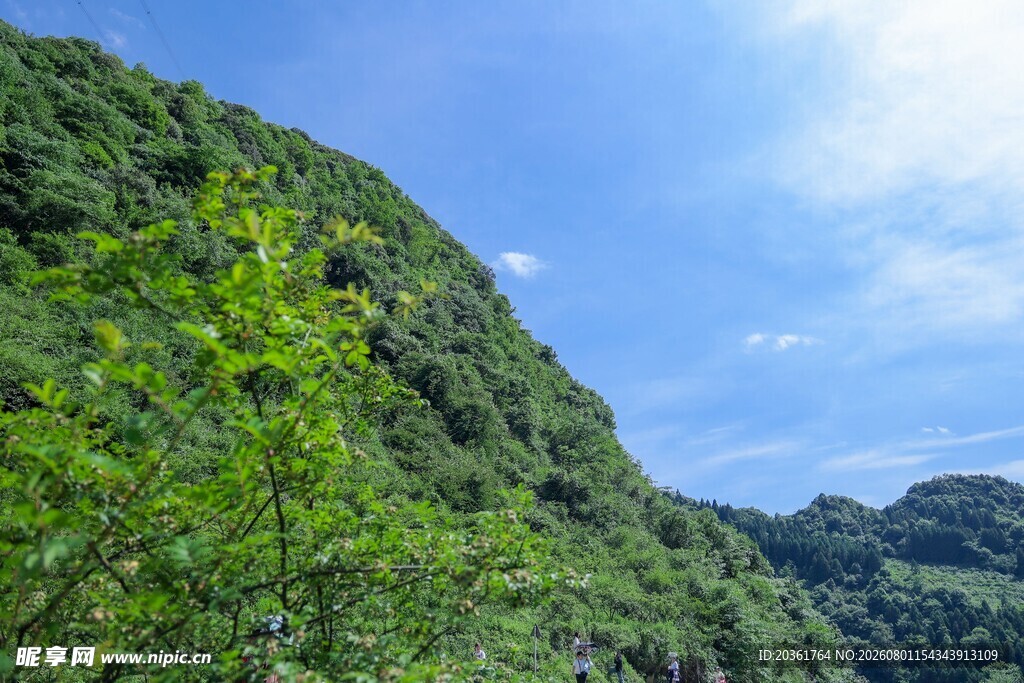 青山蓝天绿意浓