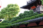 中式屋顶绿植景观