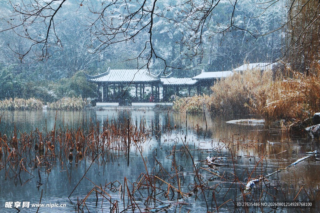 冬日湖畔静景