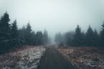 雾中雪林小路