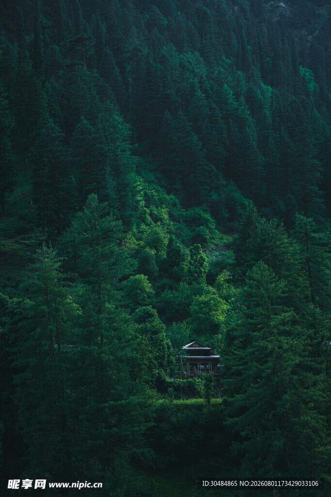 山林中的静谧小屋