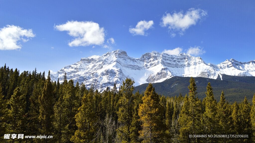 雪山森林美景