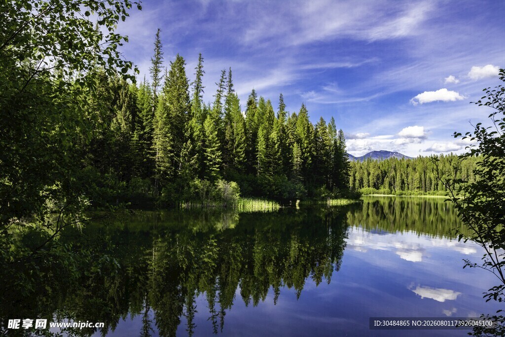 宁静湖畔森林美景