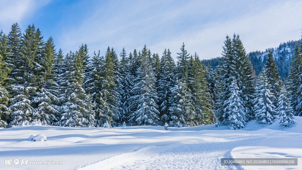 冬日雪覆山林美景