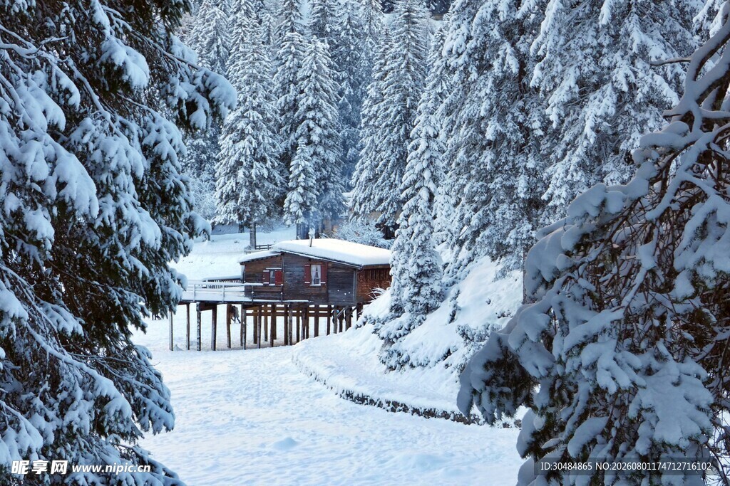 雪林深处的静谧小木屋
