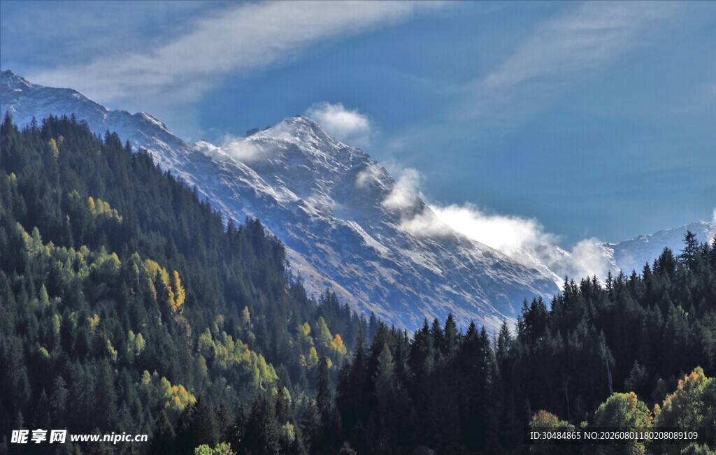 壮丽雪山与葱郁森林景观