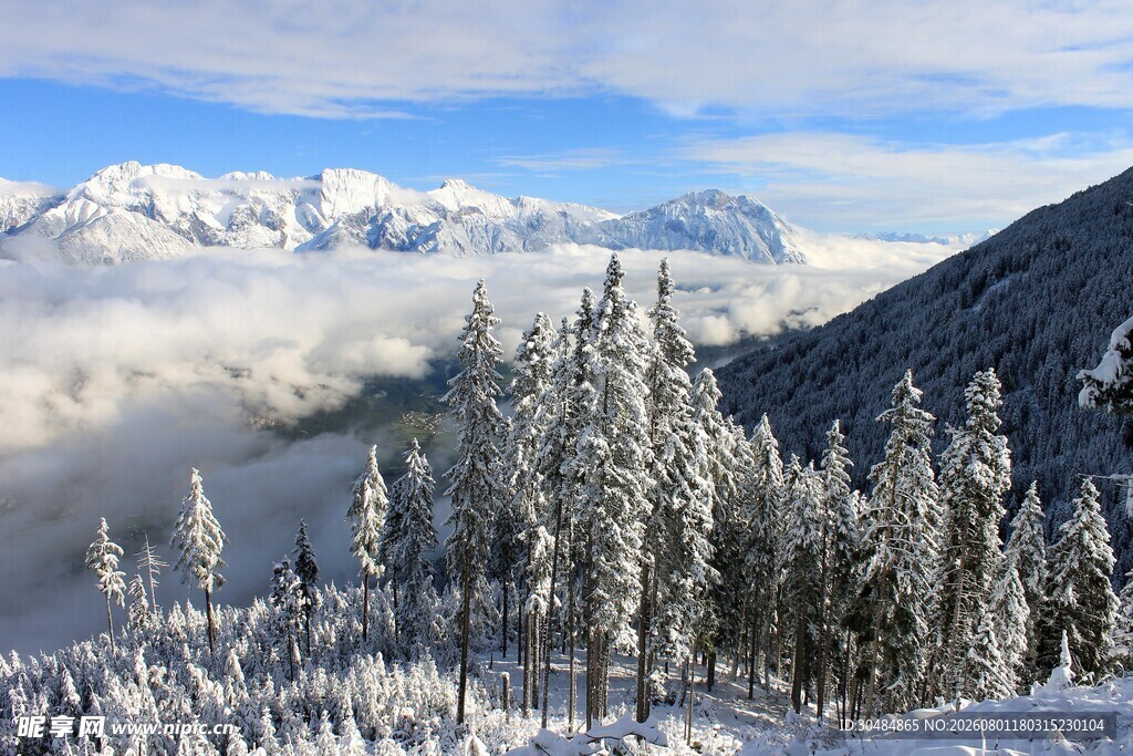 雪覆山林