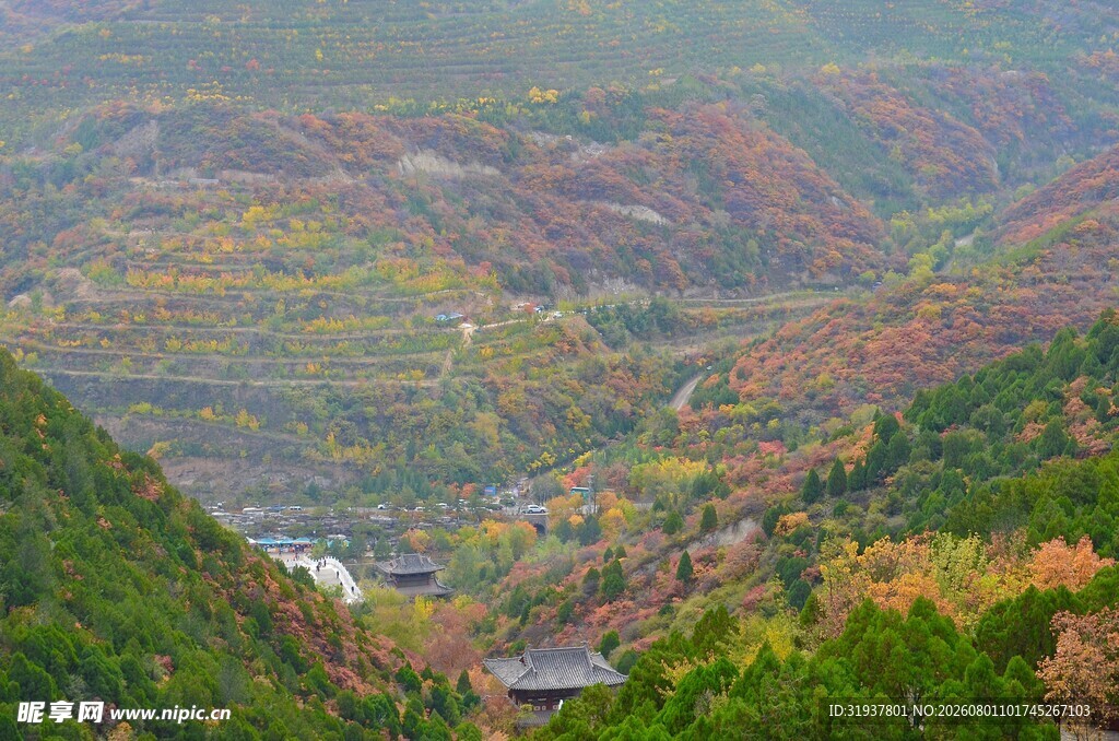 秋日山林斑斓美景