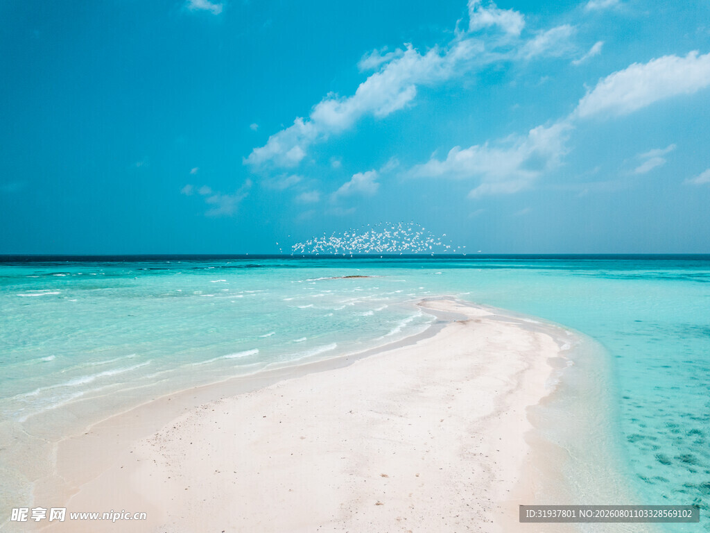 梦幻海岛浅滩风光