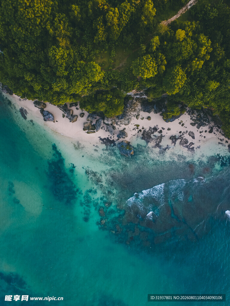 碧海白沙旁的葱郁海岸