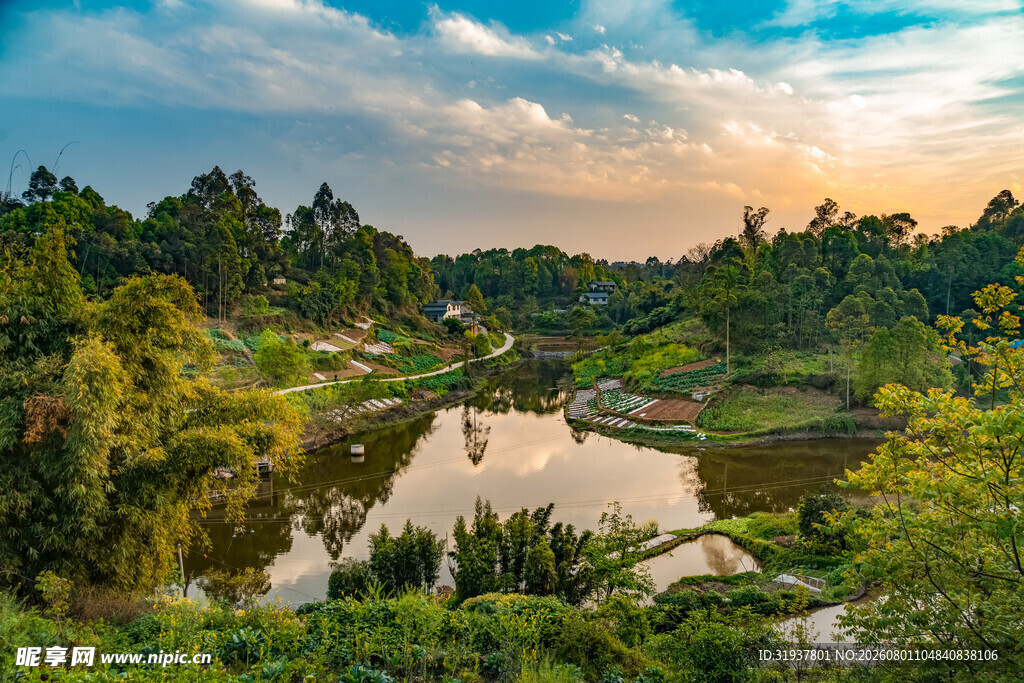 夕阳下的河畔自然风光