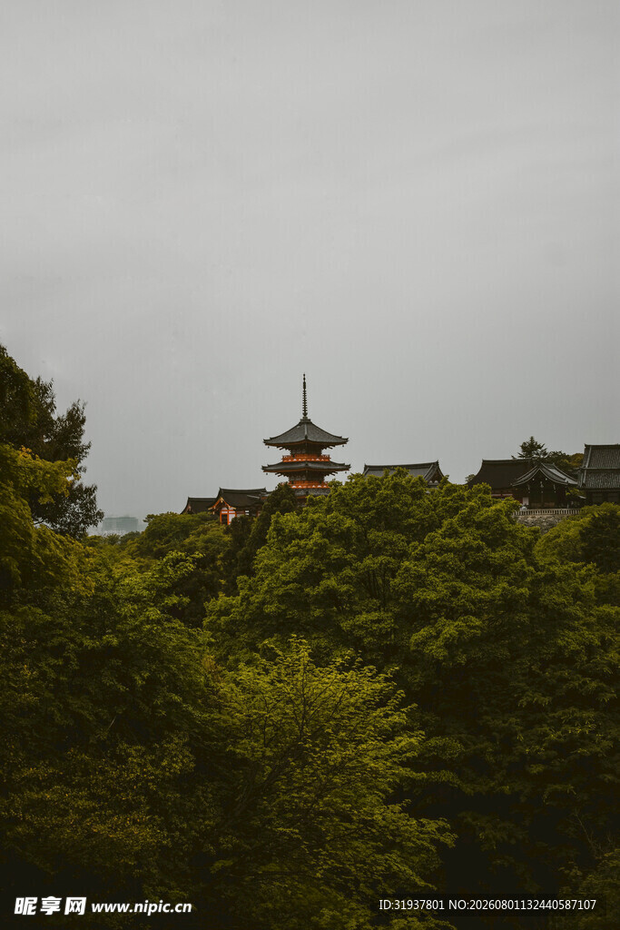 山林间的古朴塔楼
