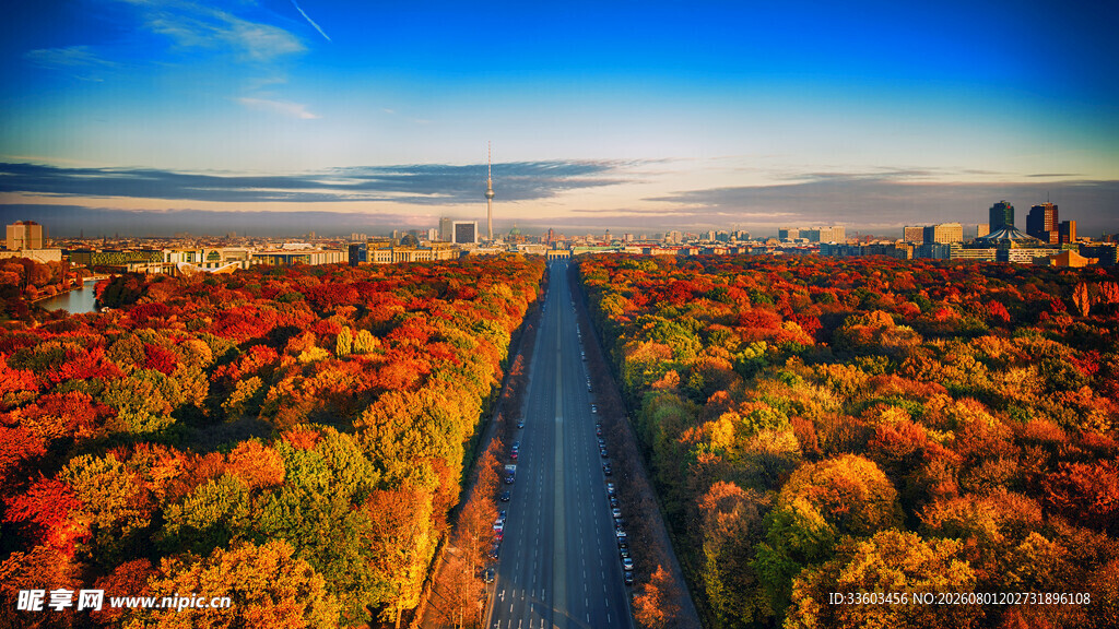 秋日林间公路壮丽风光