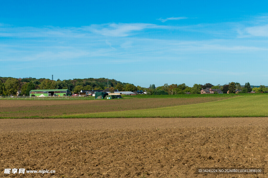 田野风光广袤大地景色