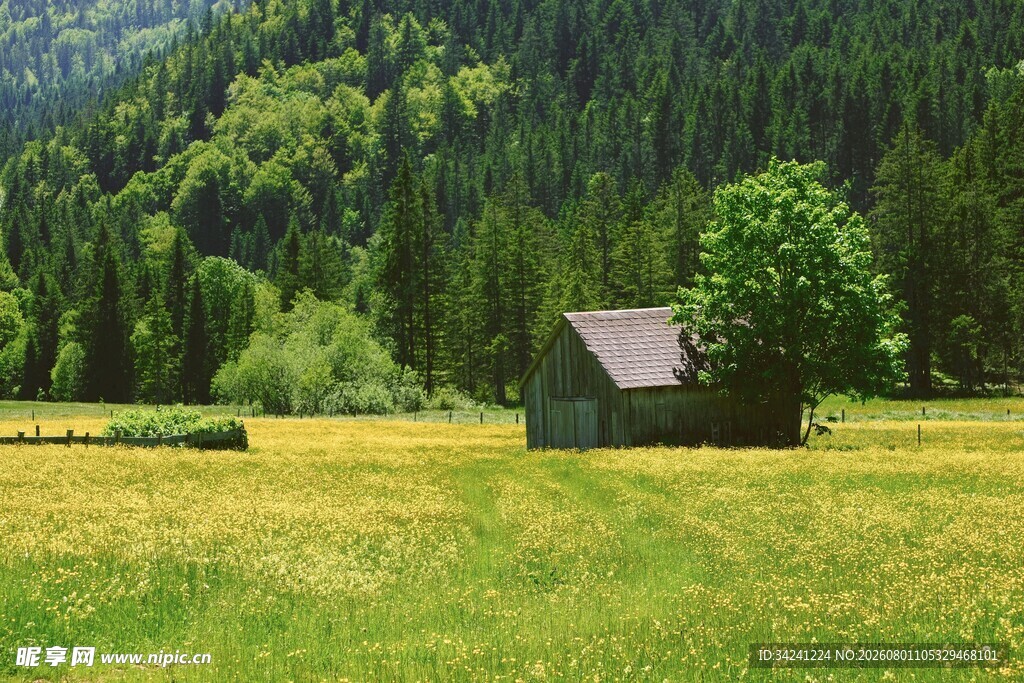 山间草地中的静谧小屋