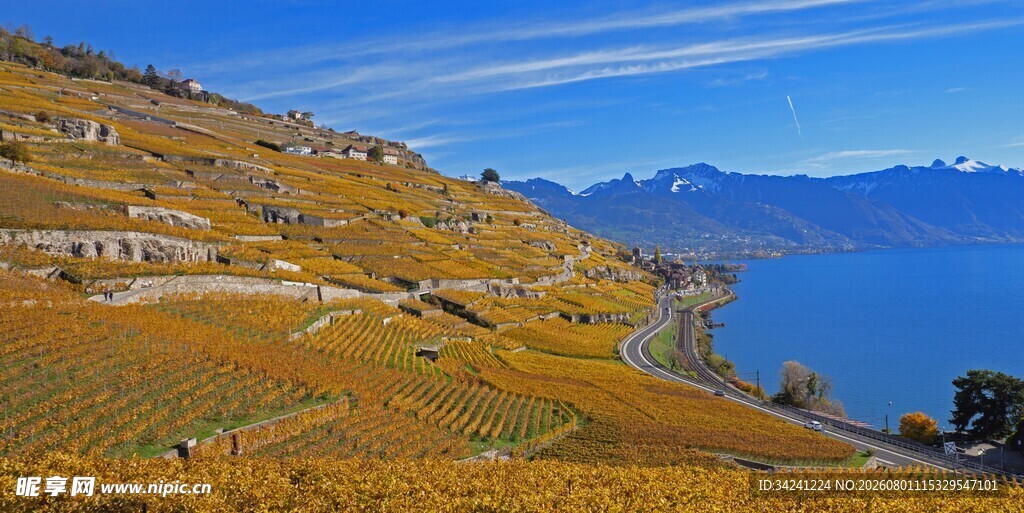 湖畔秋日梯田美景