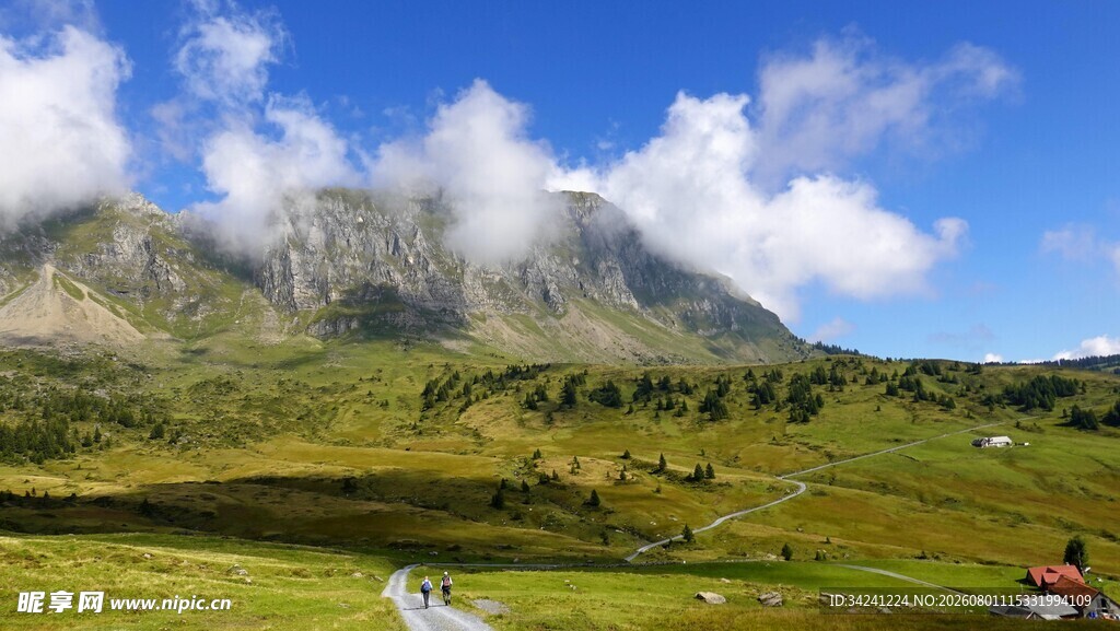 高山草甸美景