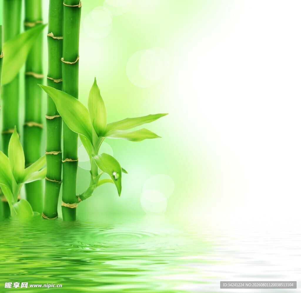翠绿竹林倒映水中美景