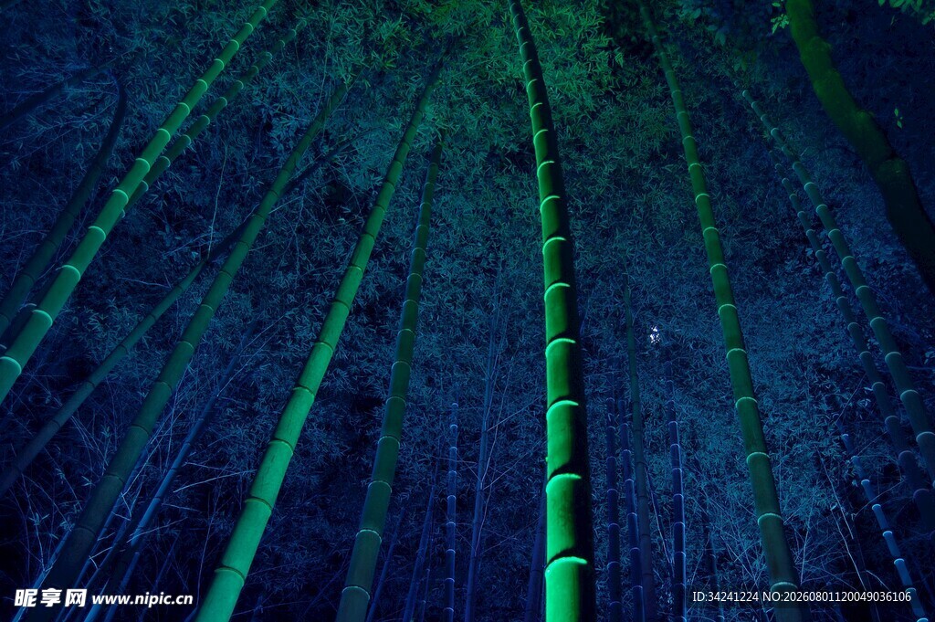 梦幻森林光柱夜景