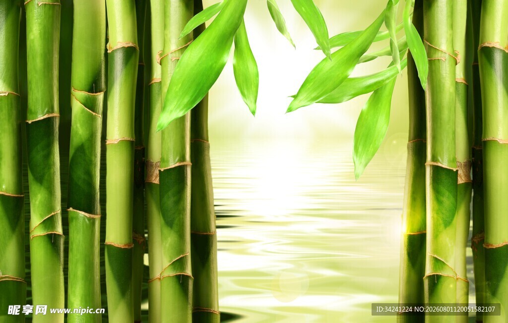 竹林间的光影诗意画面