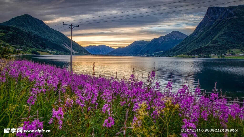 湖畔紫花与壮丽山水景致