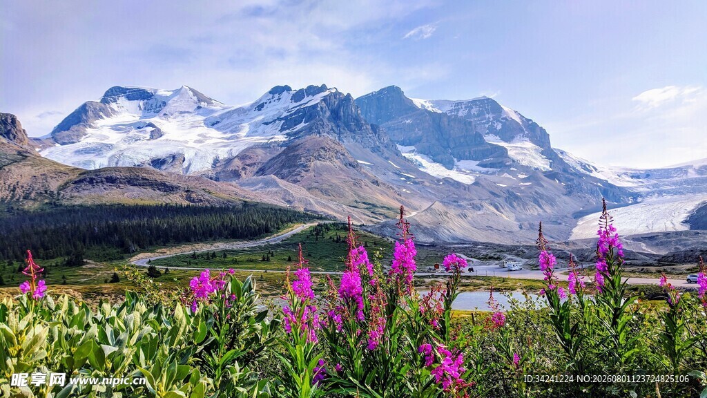 山间花海与壮丽雪山景观