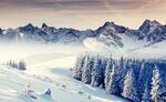 冬日雪山松林美景