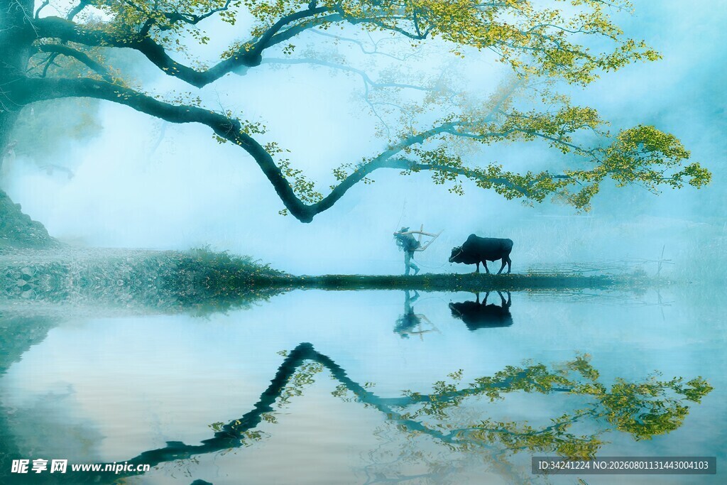 湖畔琴景静谧诗意之境